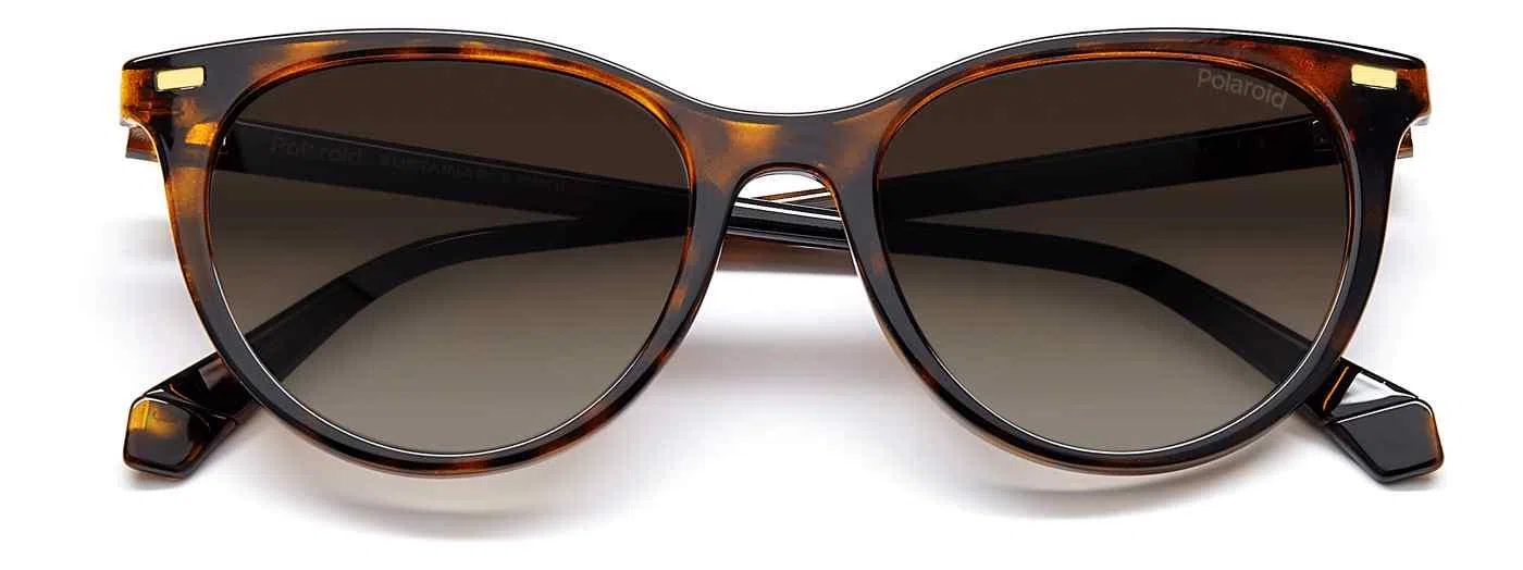 Polaroid Core Polaroid4107 Sunglasses - view 9